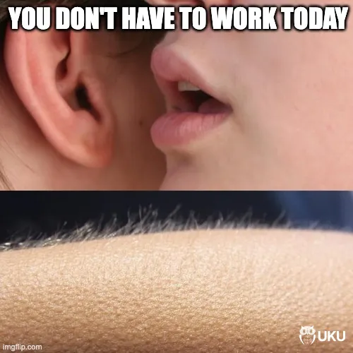 no work meme