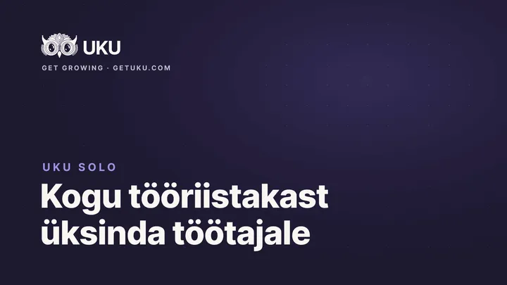 Uku Solo: kogu tööriistakast üksinda töötavale raamatupidajale