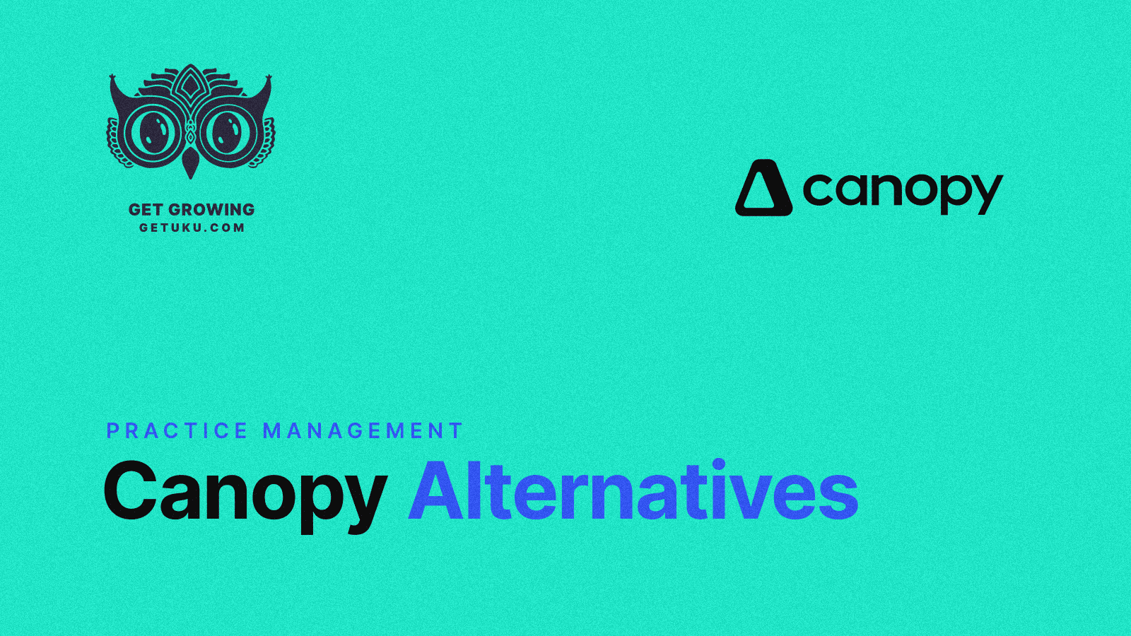 Cover for 7 Best Canopy Alternatives: Practice Management Tools for Growing Accounting Firms in 2026