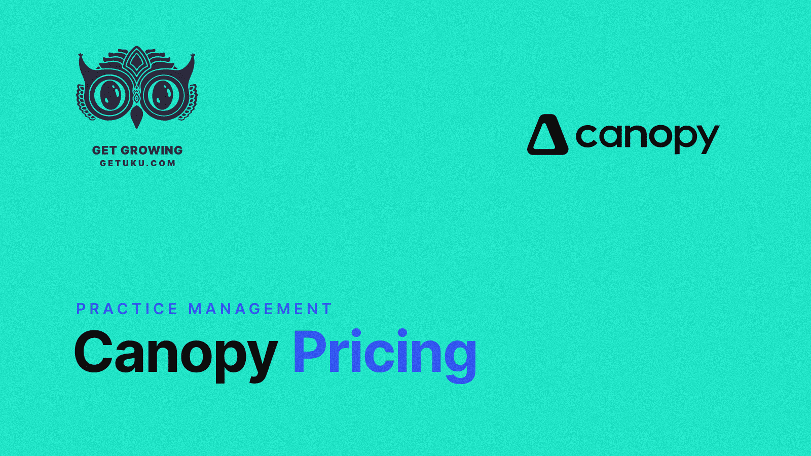 Cover for Canopy Pricing 2026: Plans, Add-On Costs & The Uku Alternative