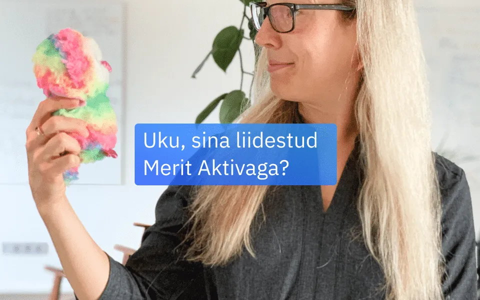 Uku ja Merit Aktiva automatiseerivad raamatupidaja töö