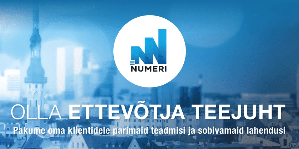 IMG Numeri OÜ case study