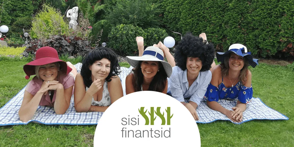 SiSi Finantsid OÜ case study