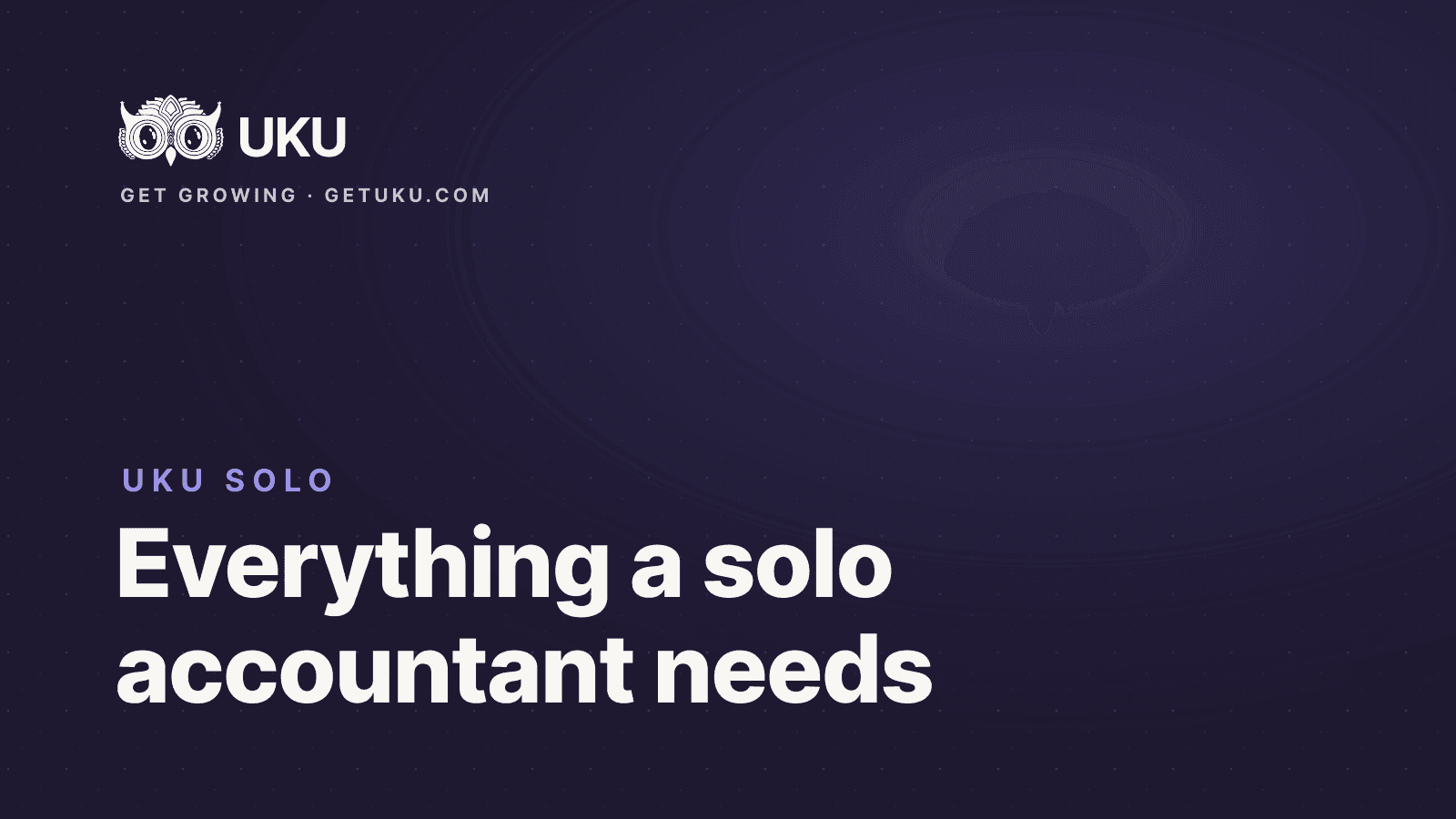 Cover for Uku Solo: A Serious Toolkit for the Accountant Working Alone