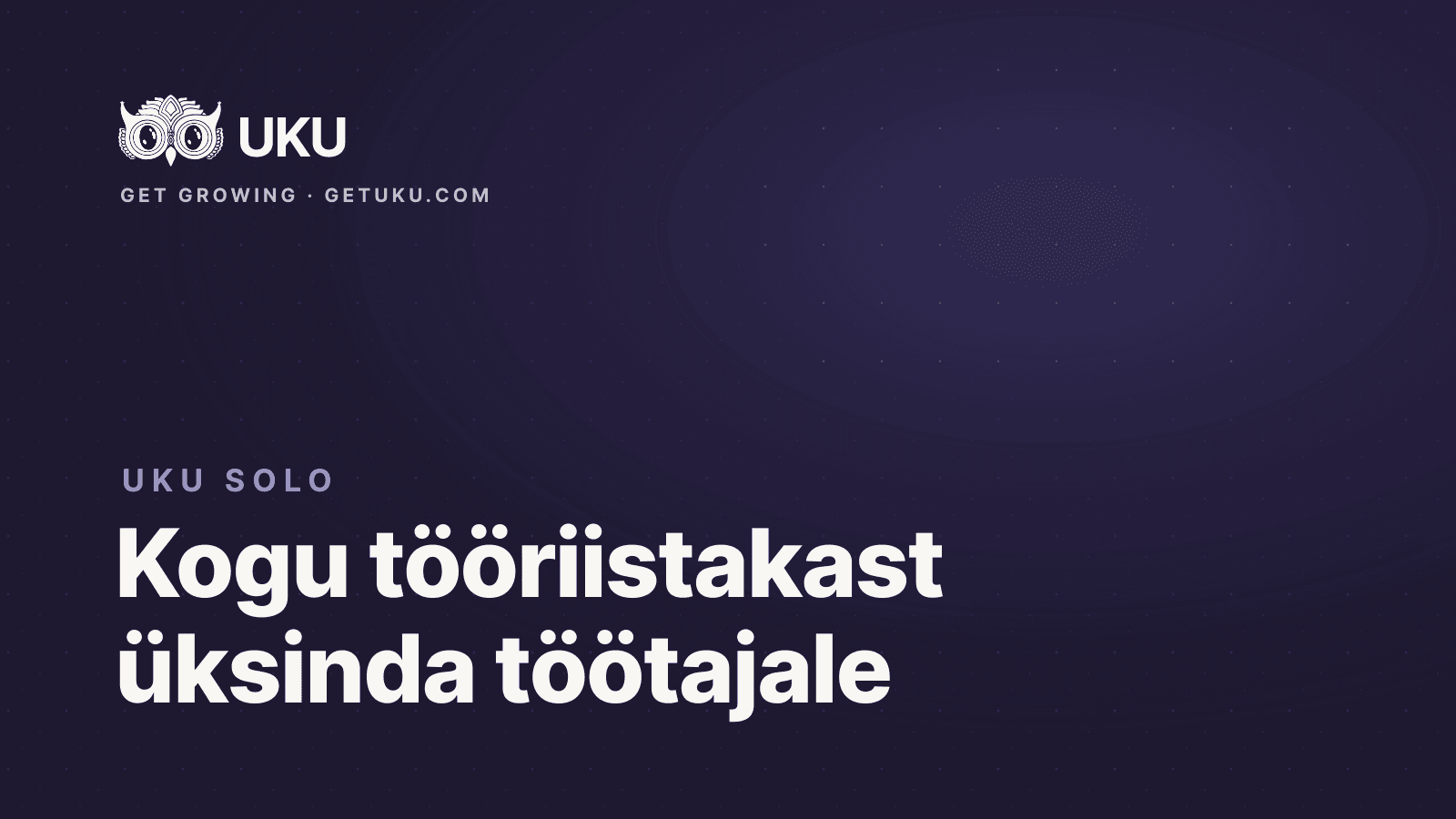 Cover for Uku Solo: kogu tööriistakast üksinda töötavale raamatupidajale