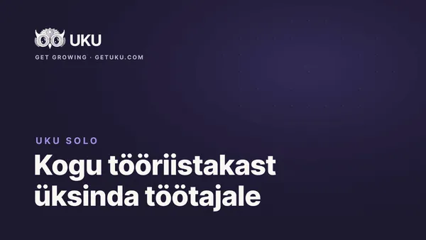 Uku Solo: kogu tööriistakast üksinda töötavale raamatupidajale