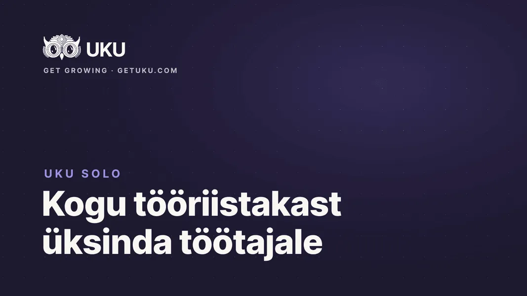 Uku Solo: kogu tööriistakast üksinda töötavale raamatupidajale