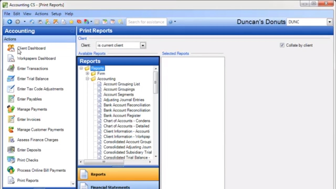 Accounting CS, Practice CS's sibling in CS Professional Suite — the Print Reports screen for a sample client with a tree of accounting reports such as account groupings, bank reconciliation and chart of accounts