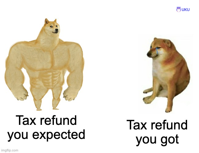 tax refund meme
